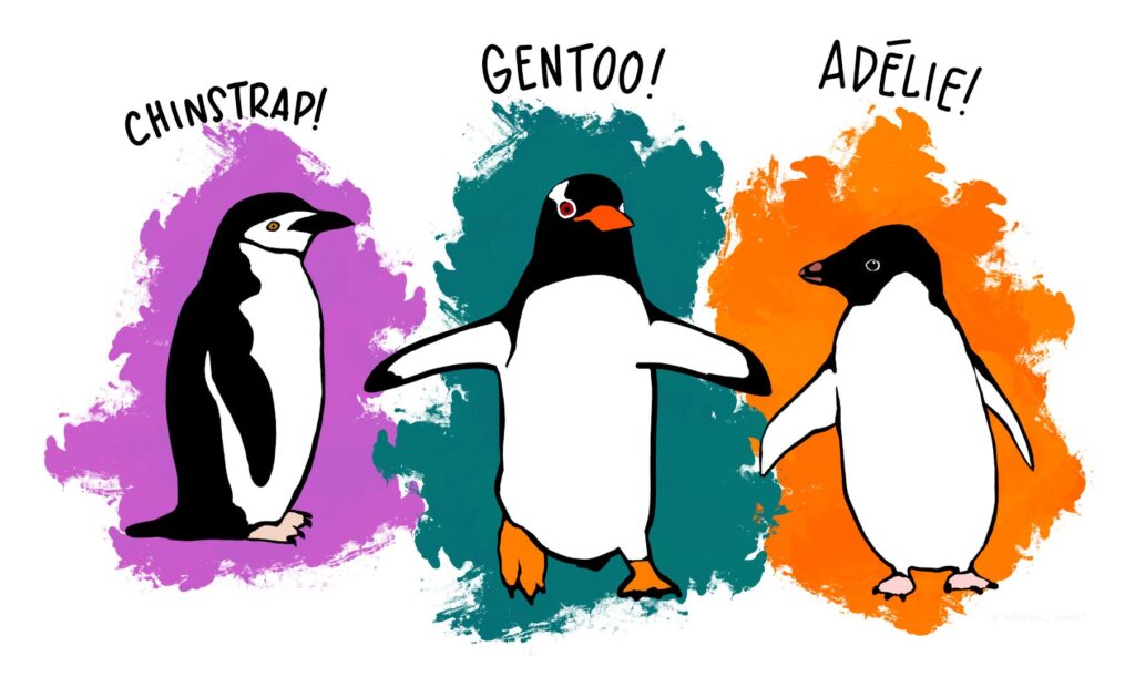 Penguins Dataset